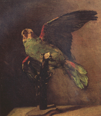 The Green Parrot (nn04)